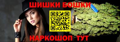 МДПВ Камышлов
