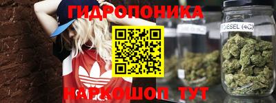 МДПВ Камышлов
