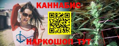 МДПВ Камышлов