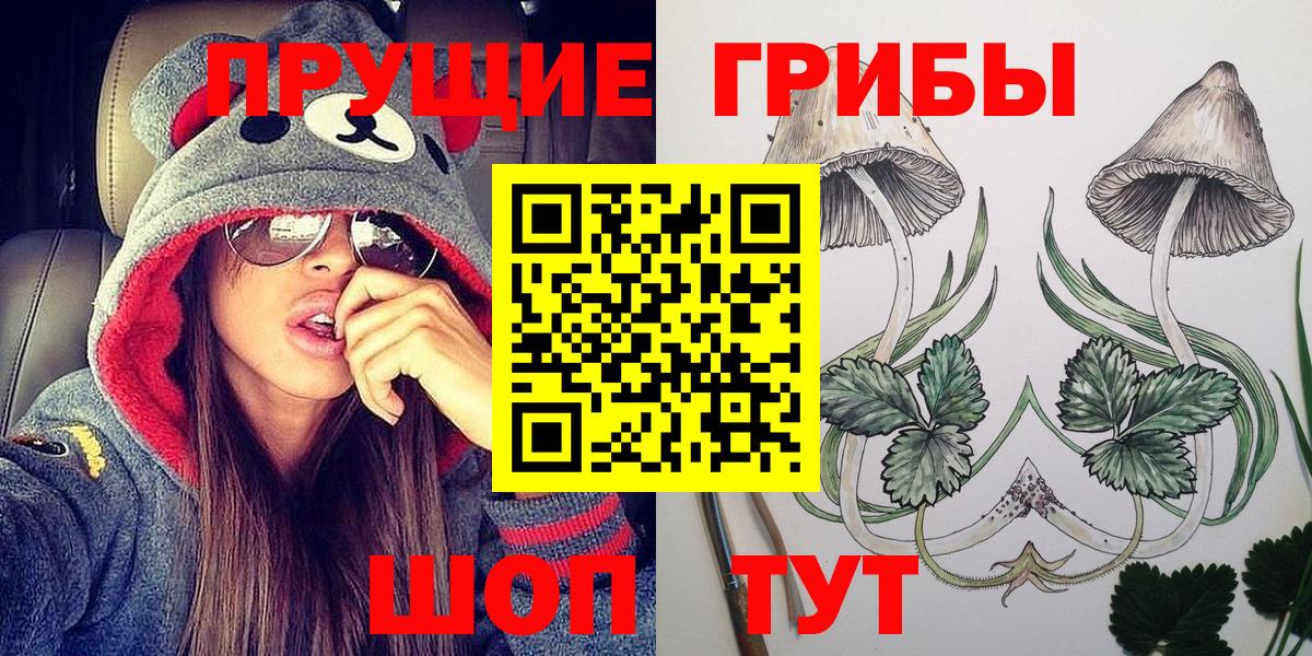 Псилоцибиновые грибы Psilocybe Кохма